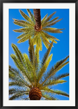 Framed Palacio de la Condesa de Lebrija Courtyard, Seville, Spain Print