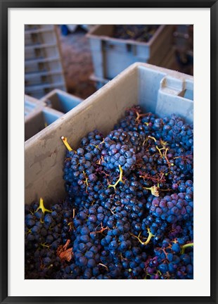 Framed Bodega Marques de Riscal Winery, Elciego, Basque Country, Spain Print