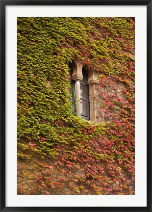 Framed Ivy-Covered Wall, Ciudad Monumental, Caceres, Spain Print