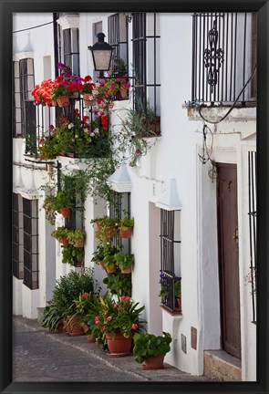 Framed Spain, Andalucia Region, Cadiz, Grazalema Potted plants by a home Print