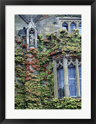 Framed Halls of Ivy, Oxford University, England Print