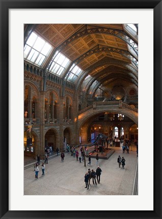 Framed England, London, Natural History Museum Great Hall Print