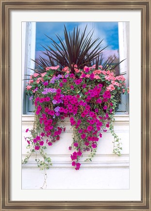 Framed Flower Box in London, England Print