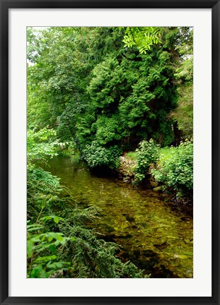 Framed England, Lake District, Cumbria, Flora Print