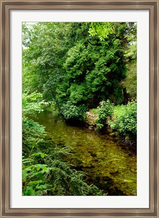 Framed England, Lake District, Cumbria, Flora Print