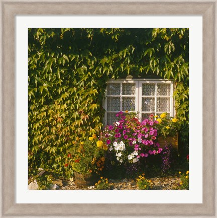 Framed Cottage, Devon, England Print