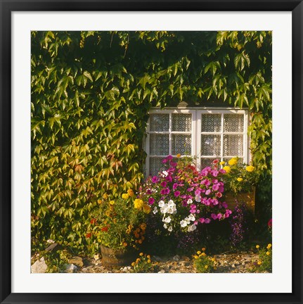 Framed Cottage, Devon, England Print