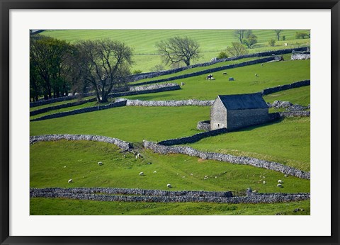 Framed Farmland, Stone Walls and Buildings, near Malham, Yorkshire Dales, North Yorkshire, England Print