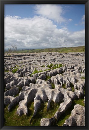 Framed Limestone Pavement, Malham Cove, Yorkshire Dales National Park, North Yorkshire, England Print