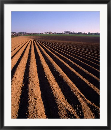 Framed Ploughed Field, Surrey, England Print