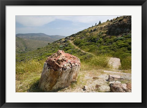 Framed Petrified Forest, Sigri, Lesvos, Mithymna, Northeastern Aegean Islands, Greece Print