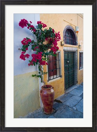 Framed Bougenvillia Vine in Pot, Oia, Santorini, Greece Print