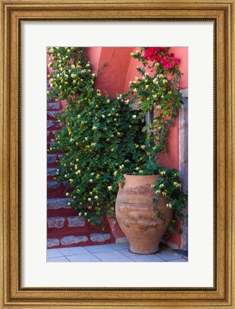 Framed Large Pot With Honeysuckle Vine, Santorini, Greece Print