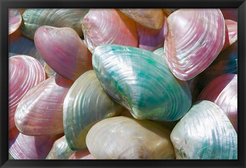 Framed Greece, Dodecanese, Rhodes, Harbor, Seashells Print