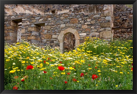 Framed Old building and wildflowers, Island of Spinalonga, Crete, Greece Print