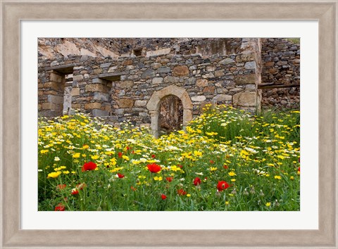 Framed Old building and wildflowers, Island of Spinalonga, Crete, Greece Print