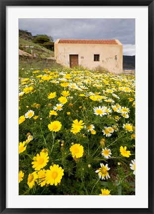 Framed Wildflowers and church of St, Island of Spinalonga, Crete, Greece Print