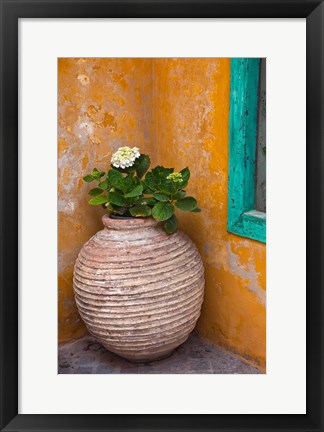 Framed Flower in pot, Crete, Greece Print