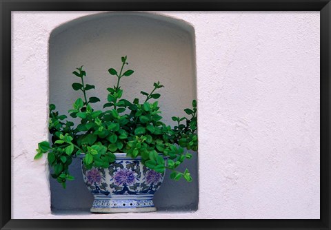 Framed Alcove Plant, Santorini, Greece Print