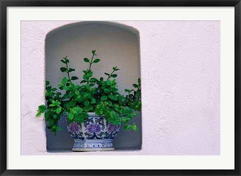 Framed Alcove Plant, Santorini, Greece Print