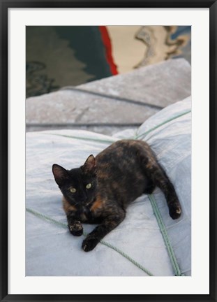 Framed Greece, Paros, Naoussa, Cat on Boat Sails Print