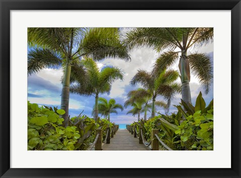 Framed Paradise Path Print