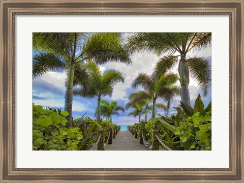 Framed Paradise Path Print
