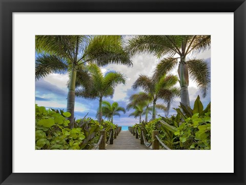 Framed Paradise Path Print