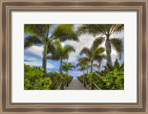 Framed Paradise Path Print