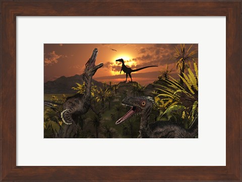 Framed Group of Feathered Carnivorous Velociraptors Print