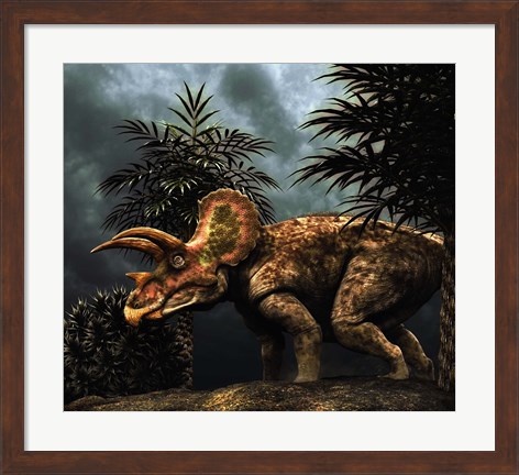 Framed Triceratop, Herbivorous Dinosaur from the Cretaceous Period Print