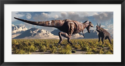 Framed T- Rex and Triceratops meet for a Battle 3 Print