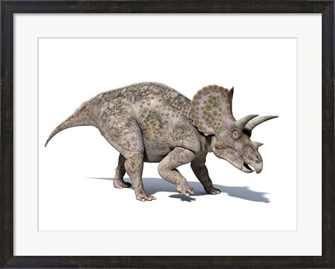 Framed 3D rendering of a Triceratops Dinosaur Print