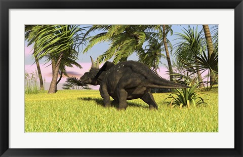 Framed Triceratops Dinosaur 10 Print