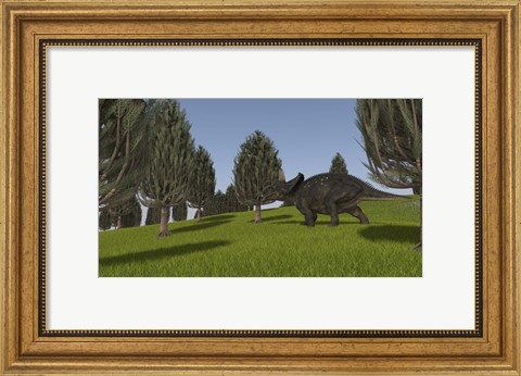 Framed Triceratops Walking across a Grassy Field 2 Print