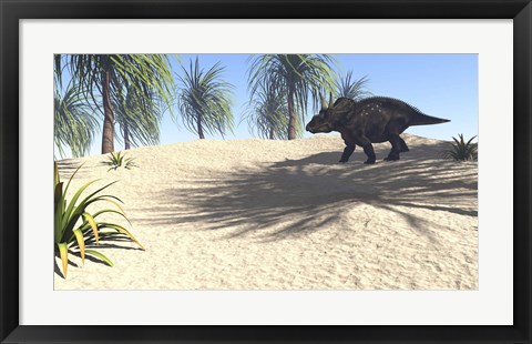 Framed Triceratops Walking in a Tropical Environment 1 Print