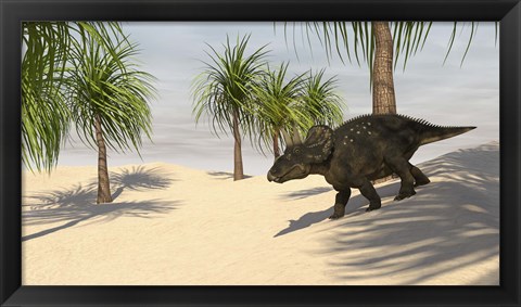 Framed Triceratops Walking in a Tropical Environment 2 Print