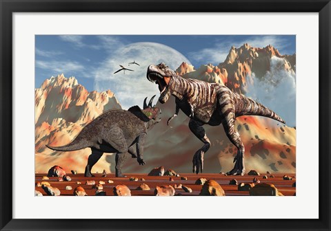 Framed T- Rex and Triceratops meet for a Battle 2 Print