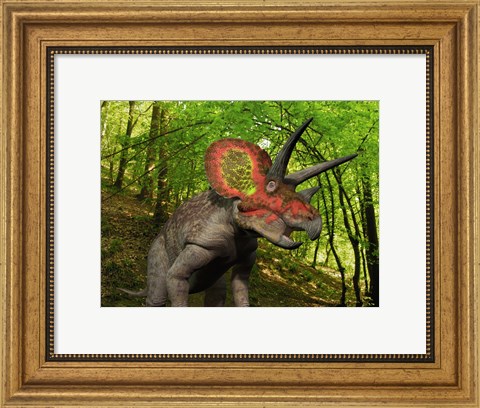 Framed Colorful Triceratops Wanders a Cretaceous Forest Print