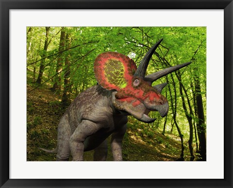 Framed Colorful Triceratops Wanders a Cretaceous Forest Print