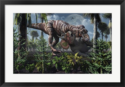 Framed Tyrannosaurus Rex Kills a Triceratops as its Next Meal Print