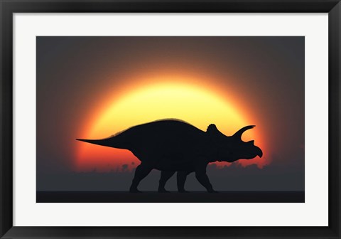 Framed Silhouetted Triceratops strolling Past a Setting Sun Print