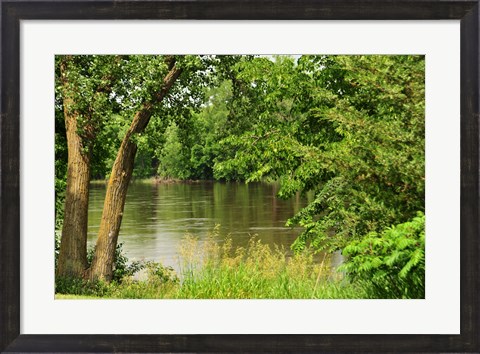 Framed Peace and Quiet Print