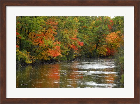 Framed Hint of Fall Print