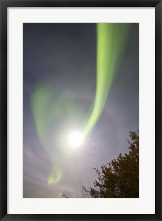 Framed Aurora Borealis and Venus by Lake Laberge, Yukon, Canada Print