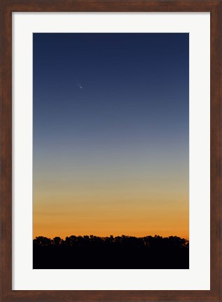 Framed Comet Panstarrs at twilight,  Buenos Aires, Argentina Print