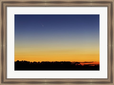 Framed Comet Panstarrs I Print