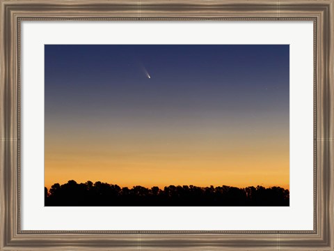 Framed Comet Panstarrs III Print