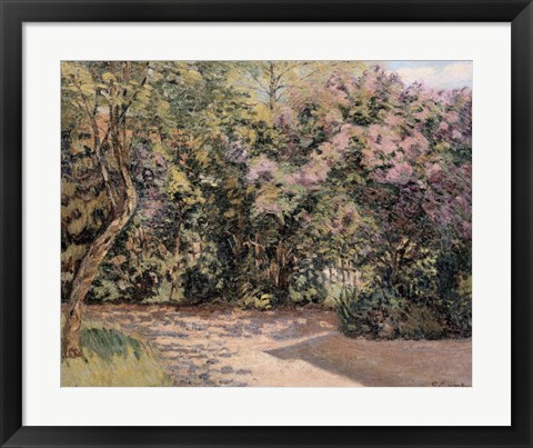 Framed Lilac Trees Print