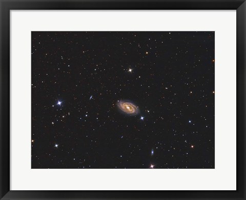 Framed Messier 109, a barred spiral galaxy in the Constellation Ursa Major Print